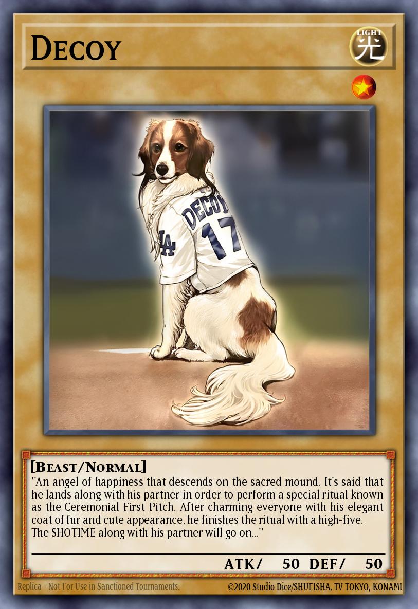 Decoy Yu-Gi-Oh card