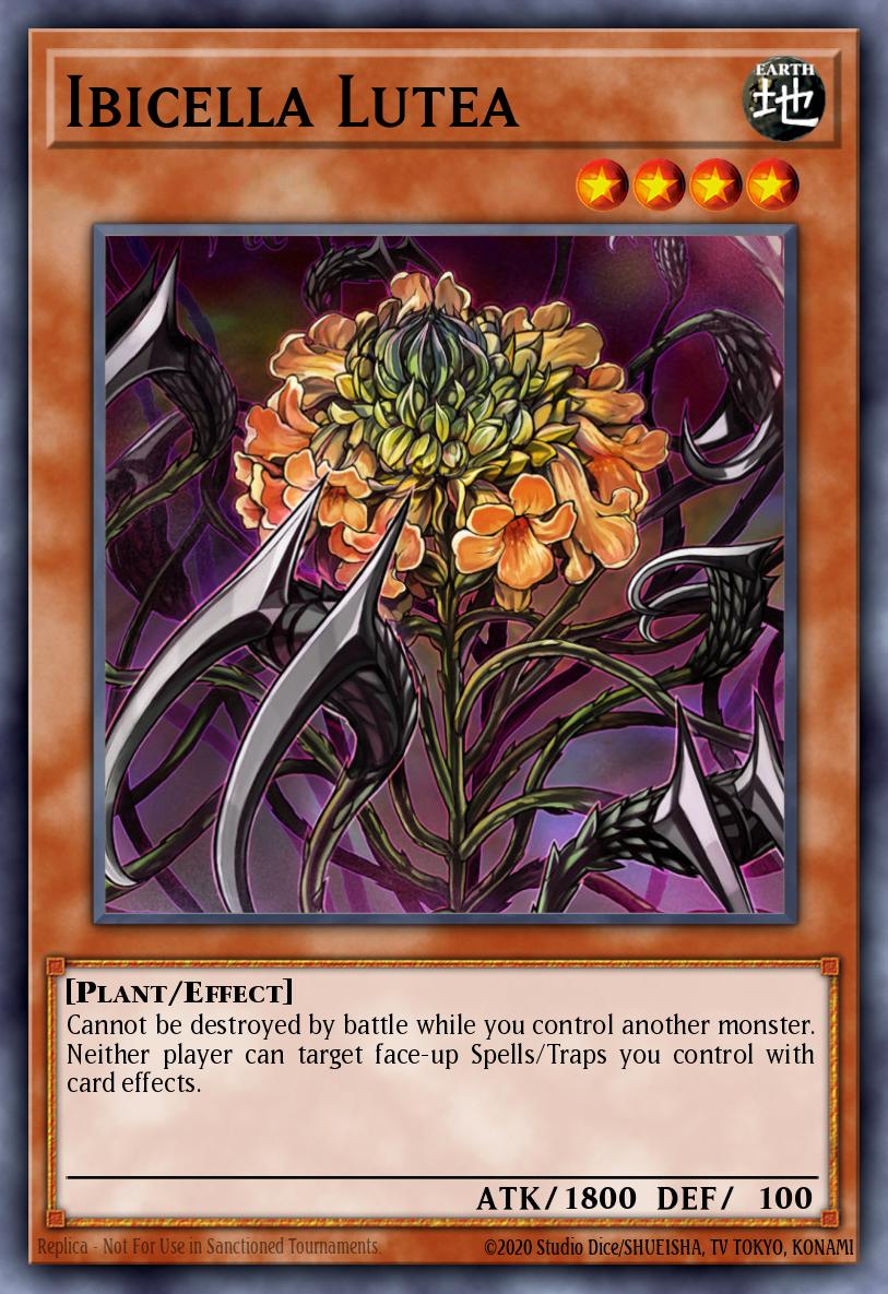 Ibicella Lutea Yu-Gi-Oh card