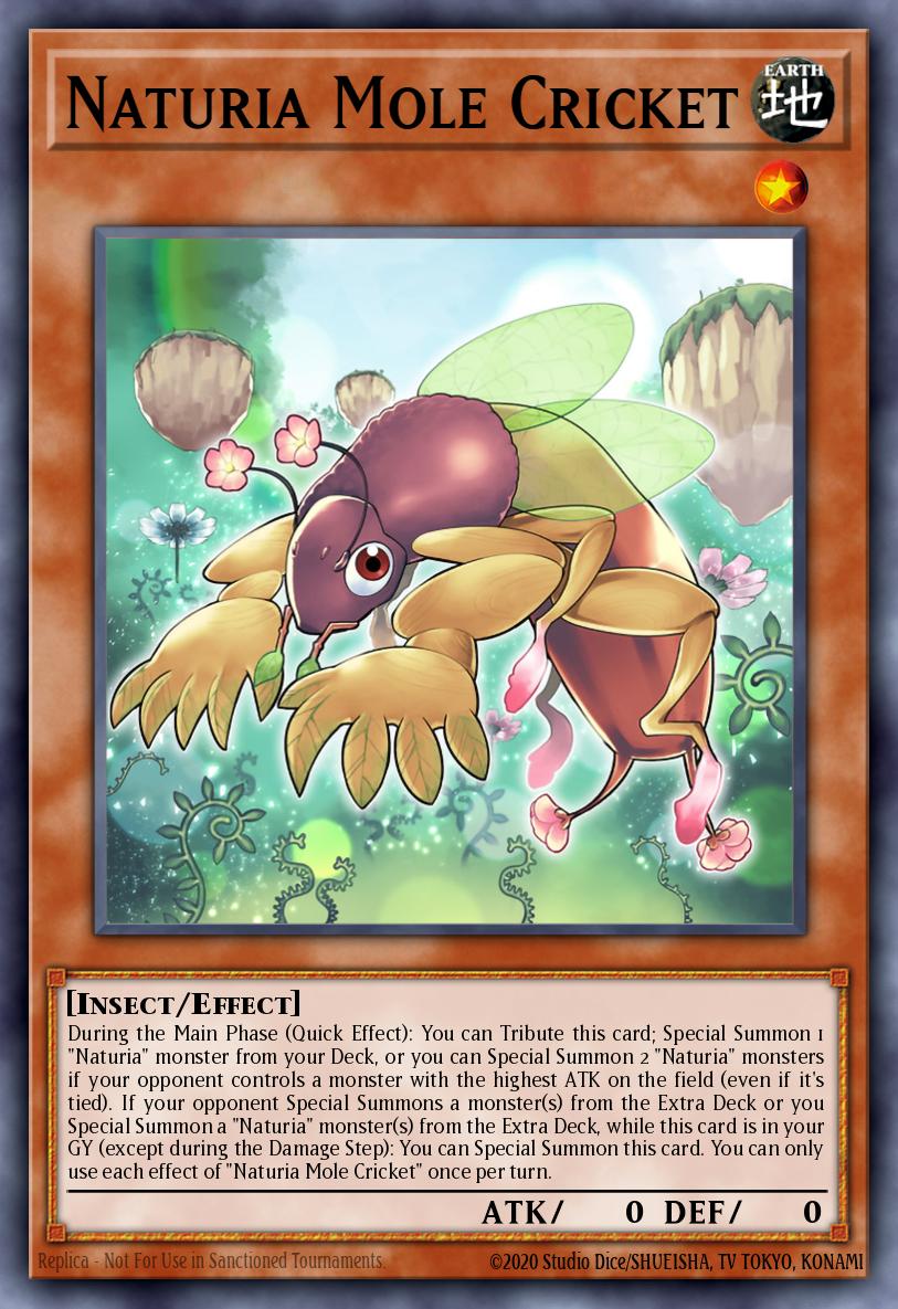 Naturia Mole Cricket Yu-Gi-Oh card