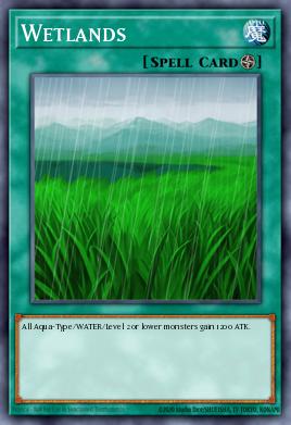 Wetlands Yu-Gi-Oh card