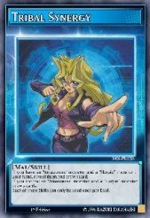 Tribal Synergy Yu-Gi-Oh card