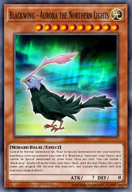 Blackwing - Aurora the Northern Lights Yu-Gi-Oh card