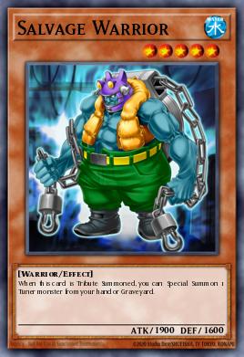 Salvage Warrior Yu-Gi-Oh card