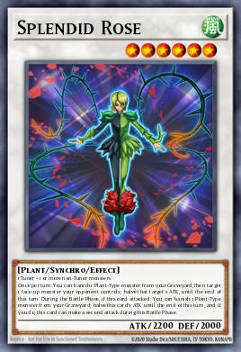 Splendid Rose Yu-Gi-Oh card