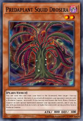 Predaplant Squid Drosera Yu-Gi-Oh card