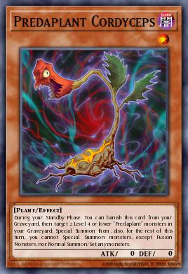 Predaplant Cordyceps Yu-Gi-Oh card