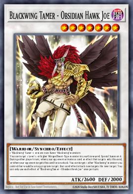 Blackwing Tamer - Obsidian Hawk Joe Yu-Gi-Oh card