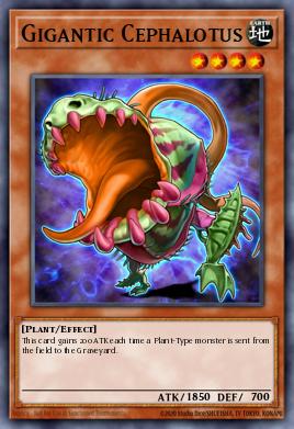 Gigantic Cephalotus Yu-Gi-Oh card