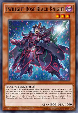 Twilight Rose Black Knight Yu-Gi-Oh card