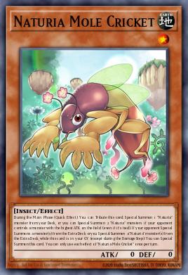 Naturia Mole Cricket Yu-Gi-Oh card